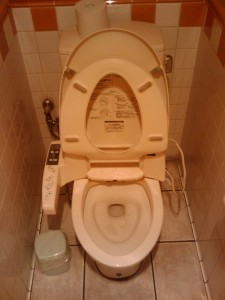 toilet-plug